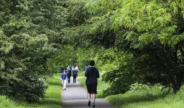 Günde On Bin Adım Atmak Sağlığa Gerçekten Yararlı Mı