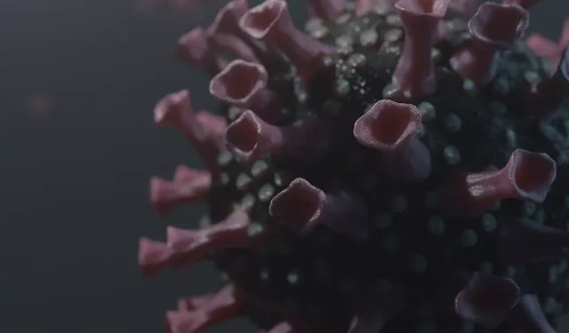 Almanya’da Geliştirilen HIV Antikoru Tıp Dünyasını Şaşırttı