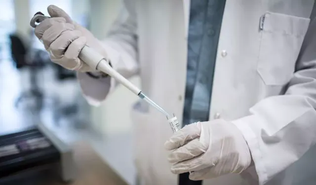 Tıp Dünyasında Devrim: Kan Kök Hücrelerini Gençleştirme Yöntemi Geliştirildi