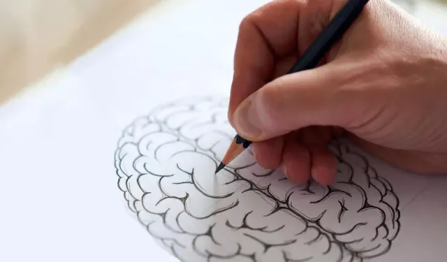 California Üniversitesi'nden İnsan Beyin Modeli Atılımı