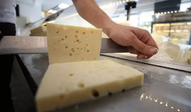 Japonya’da Peynir Tüketimi Demans Riskini Azaltıyor Mu