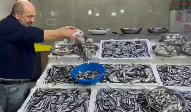 Karadeniz Hamsisi Rize'de 50 TL'den Satılıyor