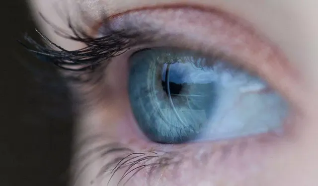 Görme Kaybında Devrim: Kök Hücre Nakli Başarıyla Sonuçlandı