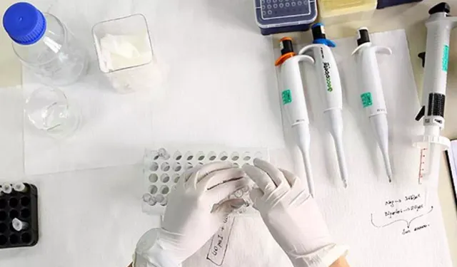 Kan Testleri Hastalıkları On Yıl Öncesinden Tespit Edebilecek