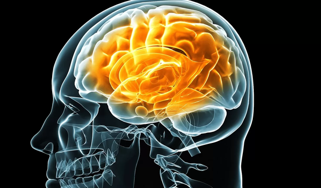 Yaşlanma Beyni Nasıl Etkiliyor ve Diyet Bunu Değiştirebilir Mi