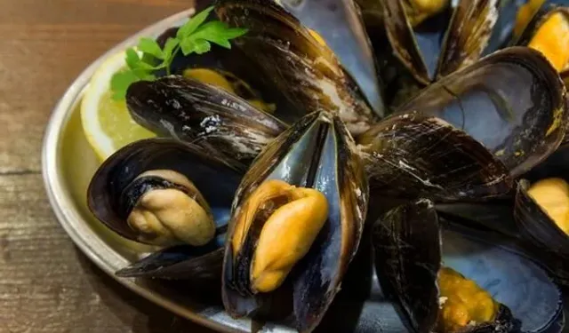 İstanbul’da Yaklaşık 2,5 Ton Canlı Midye Ele Geçirildi