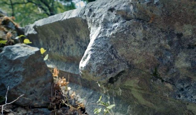 Büyük İskender’in Fethedemediği Antik Kentte 2 Bin Yıllık Aslan Başlı Çörten Zarar Gördü