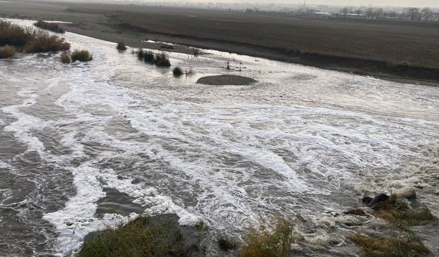 Dicle Nehri’nde Endişe Yaratan Manzara: Nehir'den Köpük Akıyor