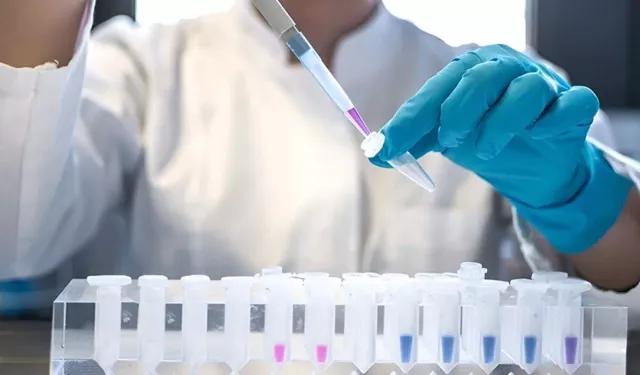 2024’te AIDS Vakaları 1,3 Milyona Ulaştı