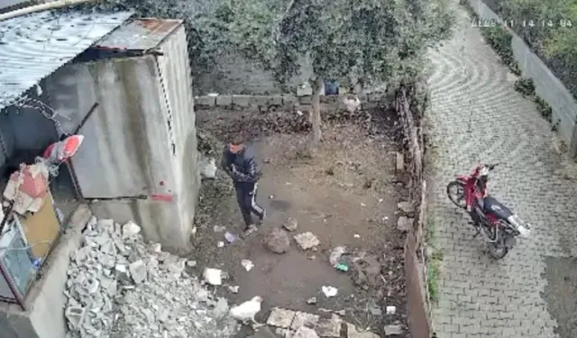 Osmaniye’de kümeslerden 9 tavuk çalan hırsız yakalandı