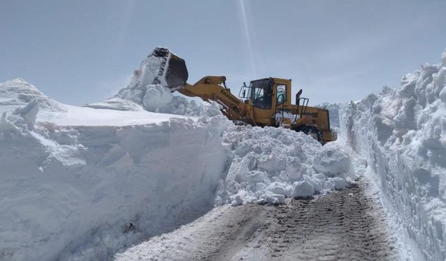 Van'da Kar Yağışı Ulaşımı Felç Etti: 102 Yerleşim Yolu Kapandı