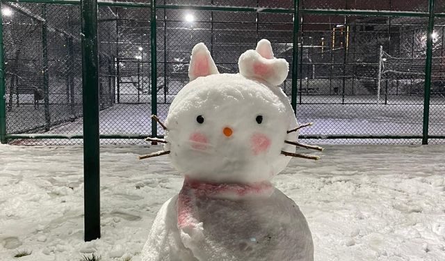 Ankara’nın Yüksek Kesimlerine Kar Yağdı
