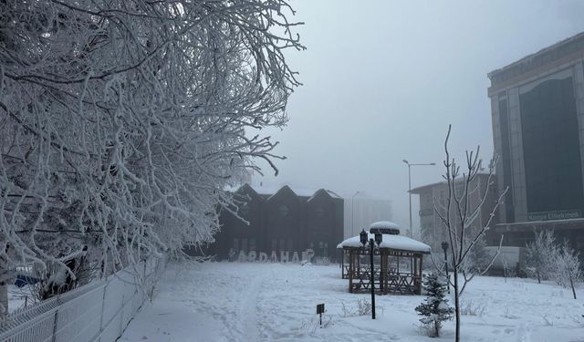 Ardahan Buz Kesti; Soğukta Kaş Ve Kirpikler Dondu