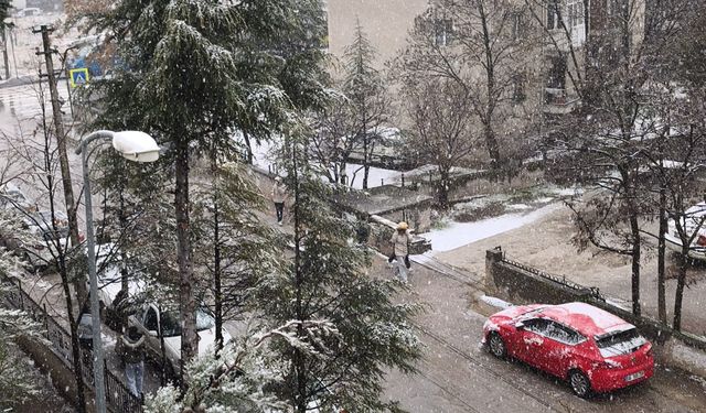Ankara Sokaklarında Kar Topu Senfonisi