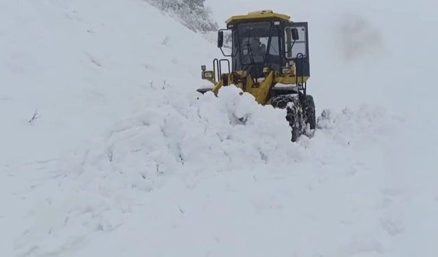 Batman’da 507 Köy Ve Mahallenin Yolu Kardan Kapandı