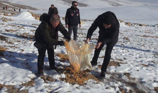 Batman’da Yaban Hayvanları İçin Doğaya 1 Ton Yem Bırakıldı
