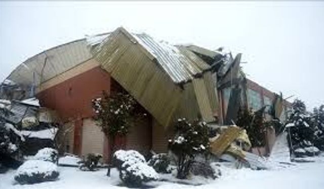 Kar Yükü Ahır Çatısını Çöktürdü: Kahramanmaraş’ta 65 Hayvan Telef Oldu