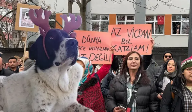 Isınmak İçin Girdiği Metroda Katledildi: Hayvanseverler 'Matmazel' İçin Sokakta