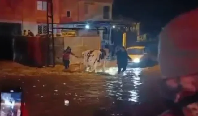 Hatay'da Sağanak Yağış, Su Baskınlarına Neden Oldu