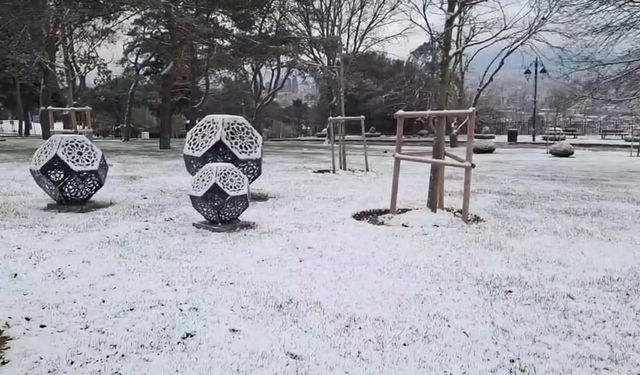 İstanbul Çamlıca Tepesi Kar Yağışıyla Beyaza Büründü