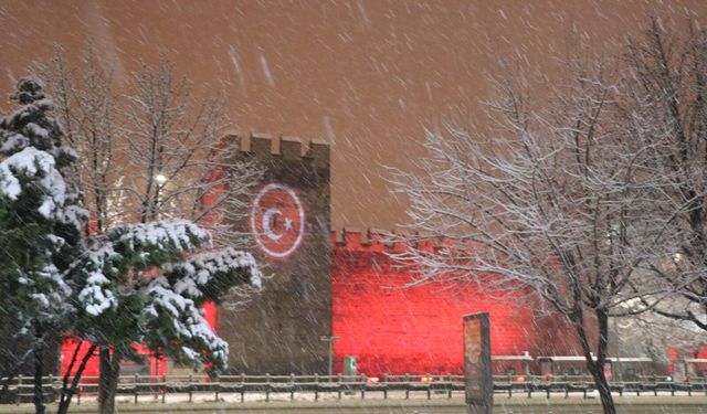 Kayseri'de Yoğun Kar Yağışı Etkili Oldu