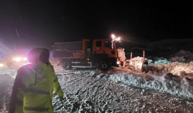 Kahramanmaraş'ta Ahırların Çatıları Çöktü: 65 Büyükbaş Öldü