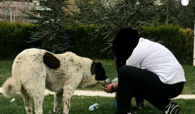 Matmazel’in Ölümüyle İlgili Darp İddiasına Soruşturma Başlatıldı