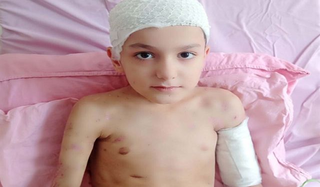 Tunahan’ın Ailesine Köpek Saldırısı Sonrası 5 Milyon TL Tazminat