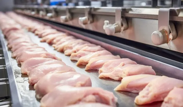 Tavuk Fiyatlarına Zam: Market ve Kasap Raflarında Etiketler Değişiyor!