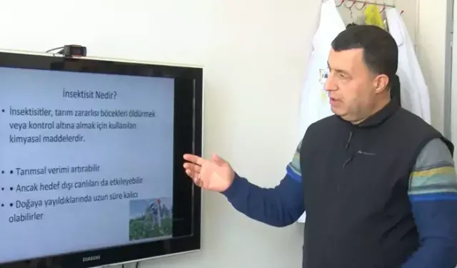 Bilinçsiz Haşere İlacı Kullanımı Gıdayı Ve Doğayı Tehdit Ediyor