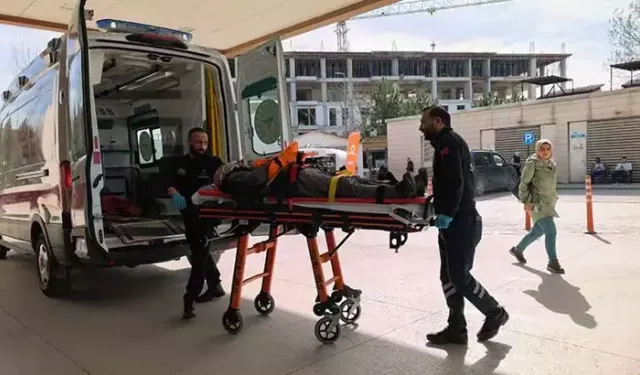 Budadığı Ceviz Ağacından Düşüp Yaralandı