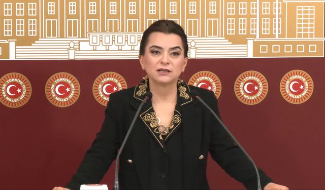 DEM Partili Koçyiğit’ten Barış Yasaları Çağrısı