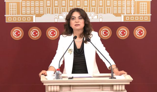 DEM Partili Koçyiğit: Rapor, Ülkenin Geleceği İçin Kritik Bir Eşik