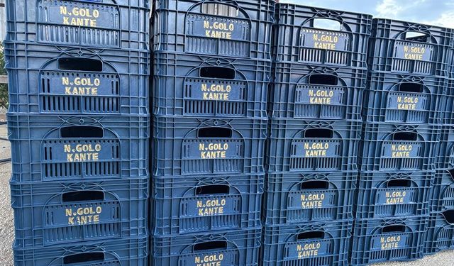 Fenerbahçeli Taraftar Domates Kasalarına N'Golo Kante Yazdı