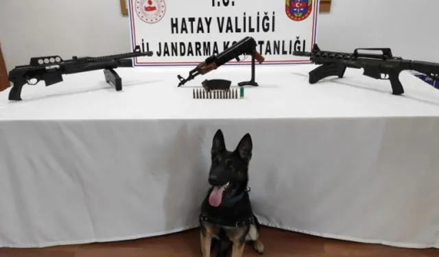 Hatay’da Yapılan Çalışmada Toprağa Gizlenmiş Silahlar Tespit Edildi