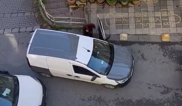 Kadıköy'de Park Tartışması Büyüdü