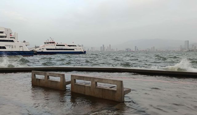 İzmir’de Kuvvetli Rüzgarda Park Halindeki Otomobilin Üzerine Ağaç Devirdi