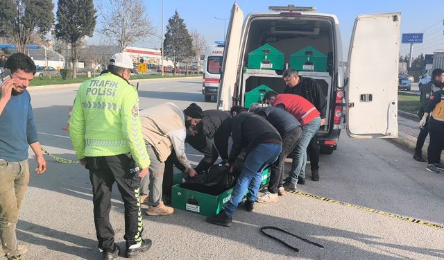 Kahramanmaraş’ta TIR’ın Çarptığı Yaya Hayatını Kaybetti