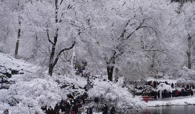 New York’ta Soğuk Hava 18 Can Aldı