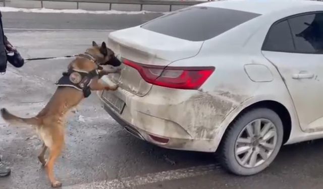 Polis Köpeği Hera Yasaklı Madde Yakaladı