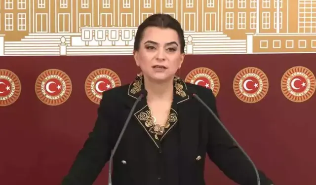 DEM Parti'li Koçyiğit’ten Barış Yasaları Çağrısı