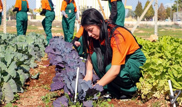 Adana Çukurova’da Tarım Eğitimi: Geleceğin Ziraatçıları Yetişiyor