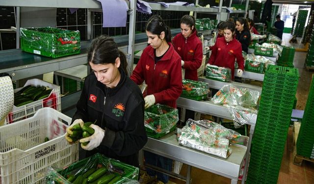 İran Krizi Sonrası Rusya Sebzeyi Türkiye'den Alıyor