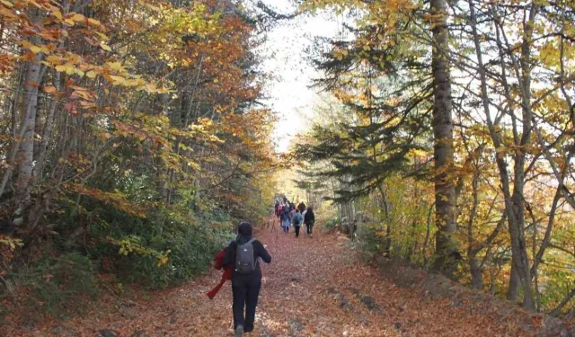Bakanlıktan Milli Parklar Kanun Teklifi Eleştirilerine Açıklama