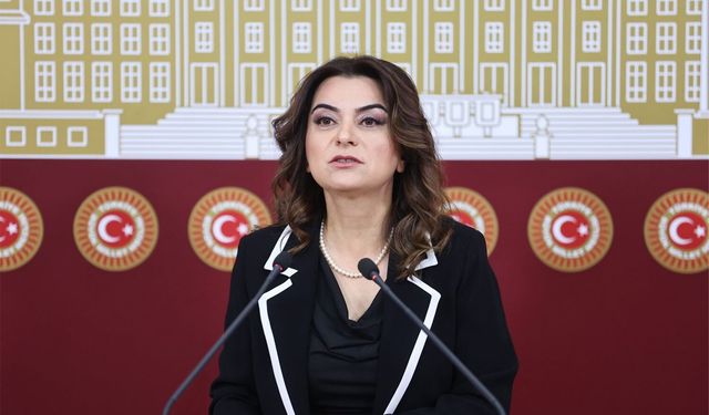 DEM Parti'li Koçyiğit: Barış Sürecini Destekleyecek Hukuki Düzenlemeler Hayata Geçirilmelidir