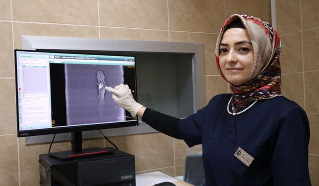 Akvaryumda Taş Yutan Balık Ameliyat Edildi