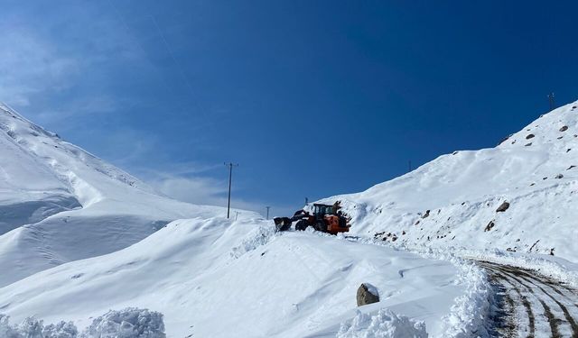 Batman’da 426 Kilometrelik Yol Ağı Kardan Kapandı