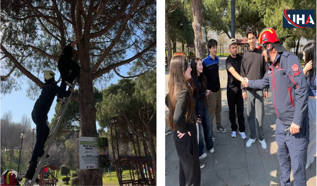 Avcılar’da Top Almak İçin Ağaca Çıkan Genç Mahsur Kaldı