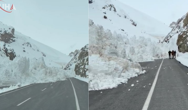 Van-Hakkari Yolunda Çığ Düştü: Araçlar Mahsur Kaldı