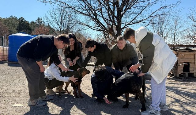 Engelli Köpekler İçin İşitme Engelli Öğrencilerden Destek